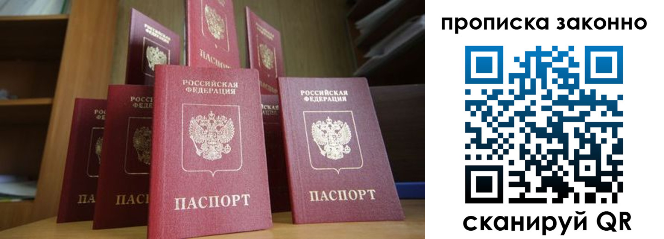 прописка в квартире в Ленинградской области